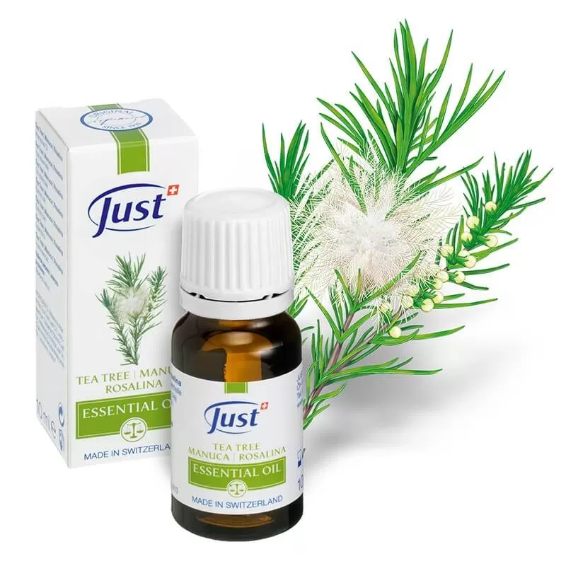 Tea Tree I Manuca I Rosalina Essential Oil 10ml