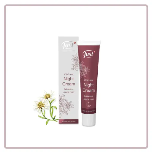 [2077410] Vital Just Night Cream 30ml